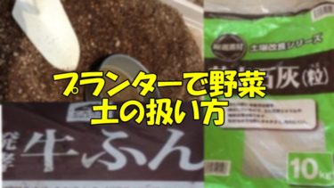 プランターで野菜の土の扱い方を知りたい。